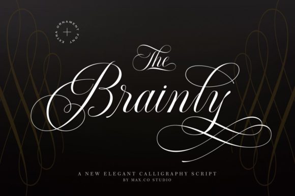 Brainly Font: Elevating Brand Identity with Classy Script