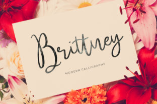 Brittney Font: Modern Calligraphy for Web Design