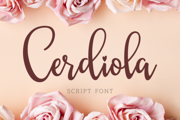 Cerdiola Font: Elevating Campaign Visuals with Script