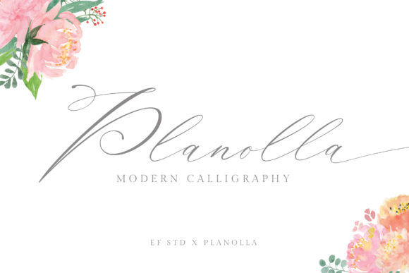 Planolla Font Review: A Delicate Script for Elegant Branding