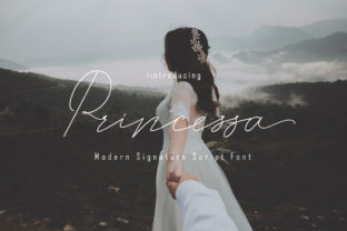 Princessa Font Review: Elevating Small Business Branding