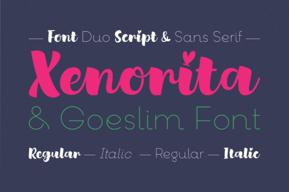 Xenorita Goeslim Duo: A Creative Font for Makers